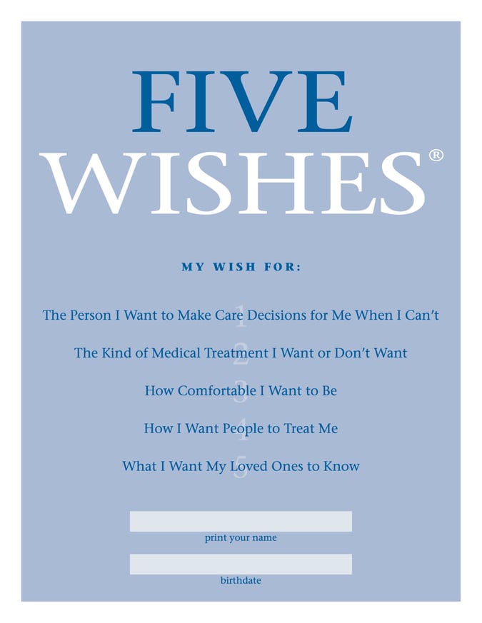 five-wishes-my-pink-lawyer